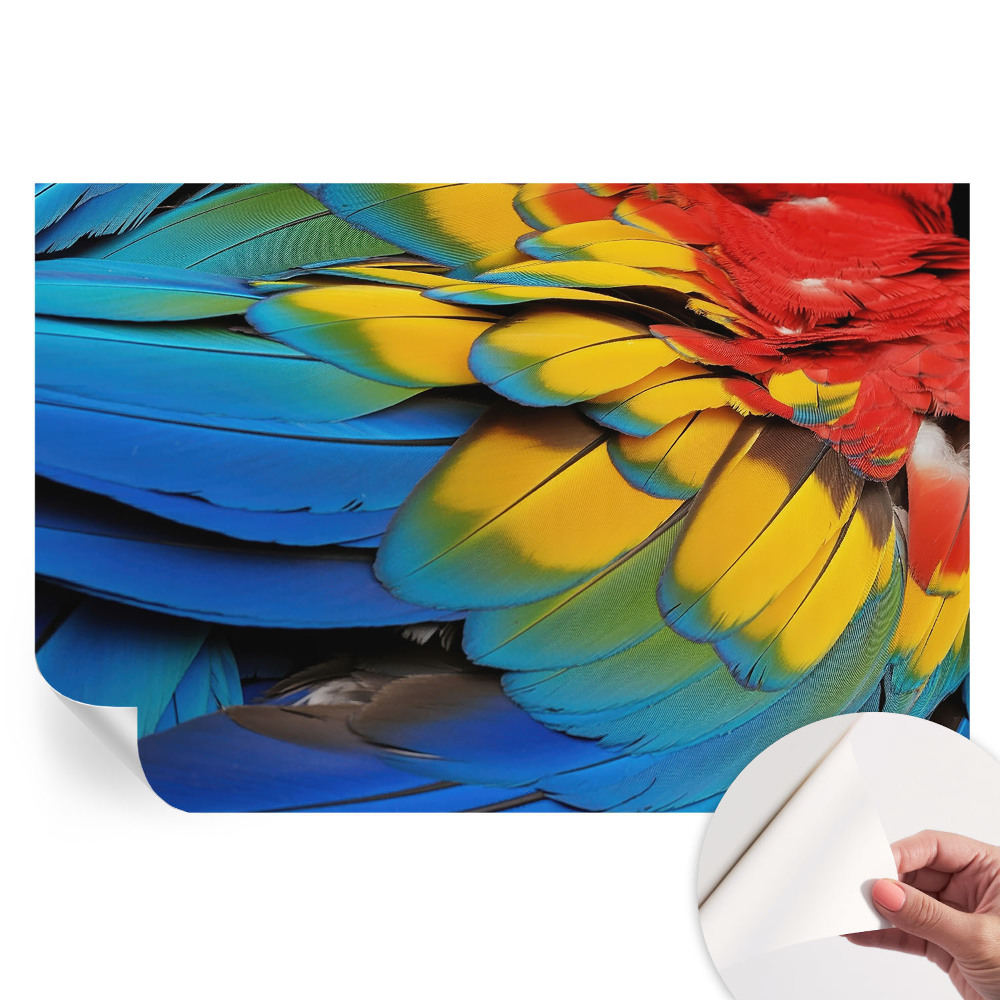 Papier peint photo moderne pour salon motif plumes arc-en-ciel