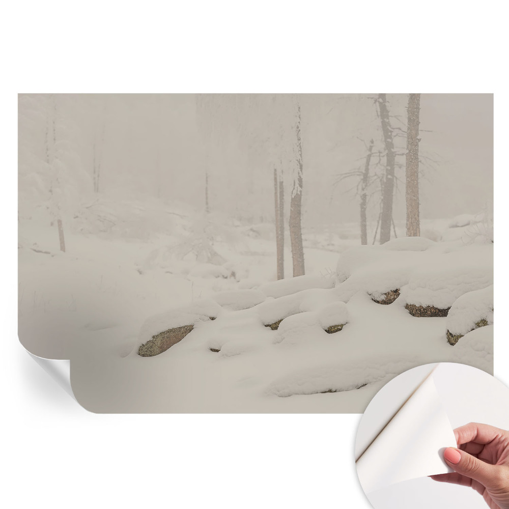 Papier peint autocollant pour le salon Forêt enneigée