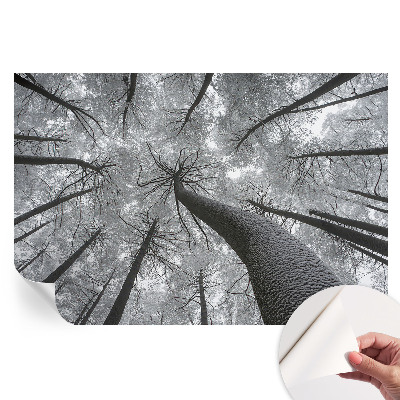 Papier peint autocollant pour le salon paysage d'hiver