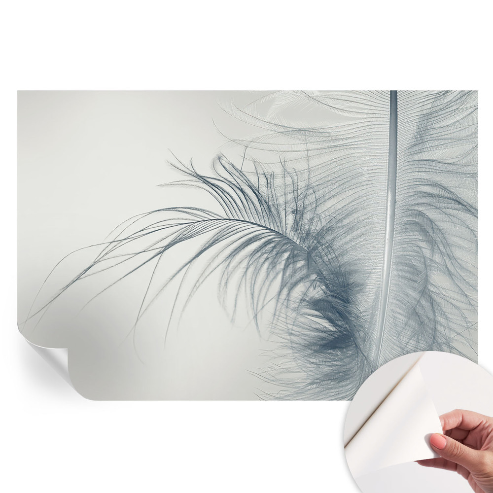 Papier peint photo autocollant pour la chambre Plume délicate