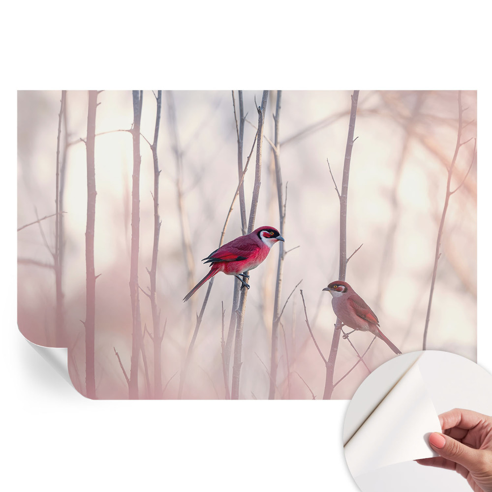 Papier peint autocollant pour salon motif couple d'oiseaux