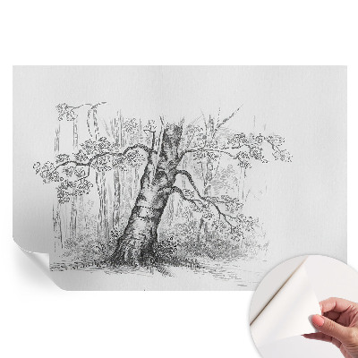 Papier peint photo autocollant motif arbre forestier pour chambre