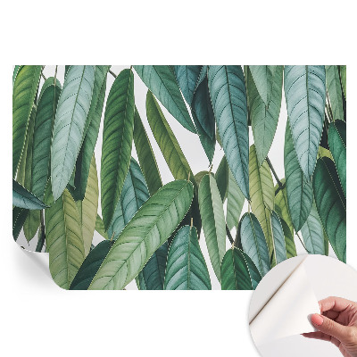 Papier peint photo moderne pour le salon Feuilles naturelles
