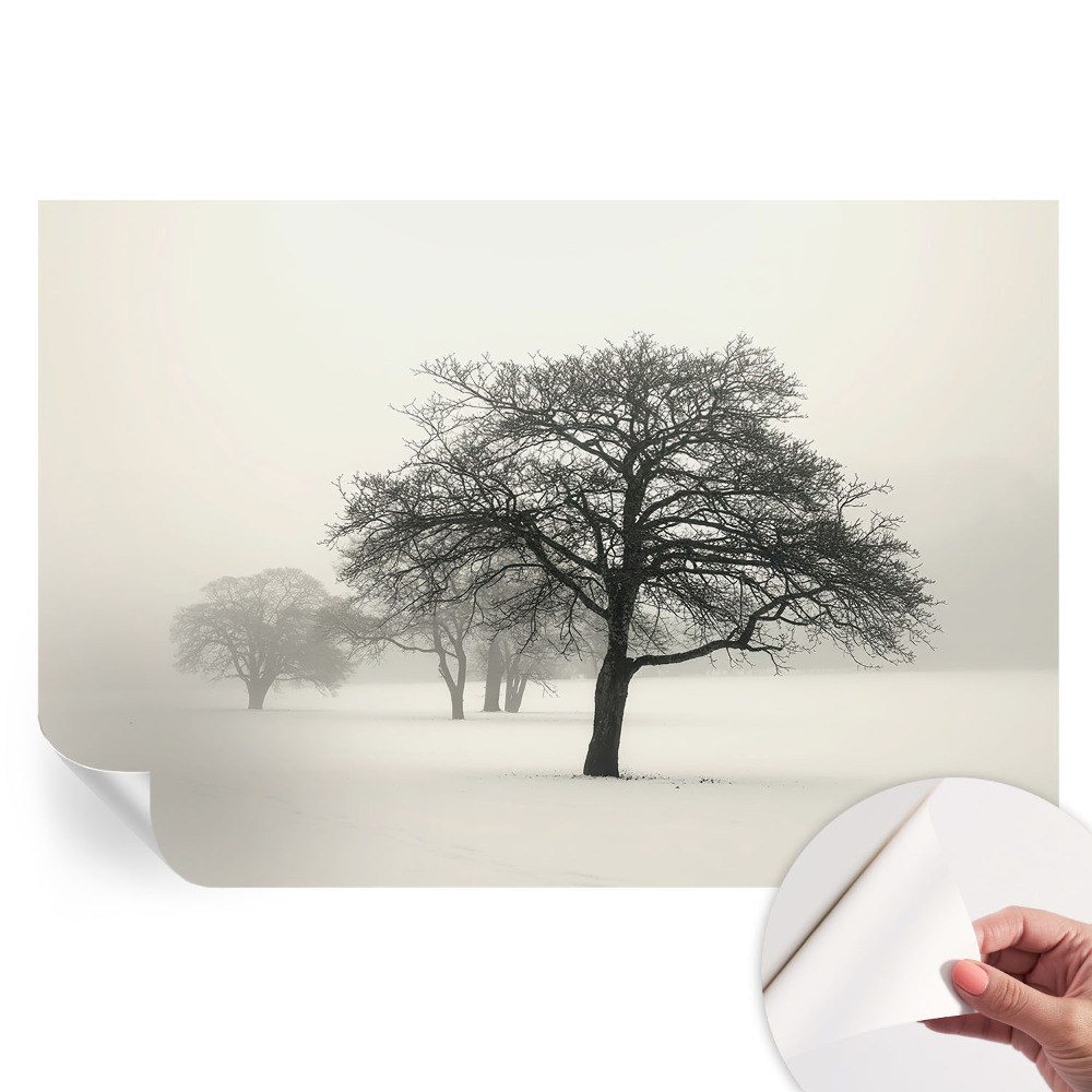Papier peint photographique autocollant Arbres d'hiver