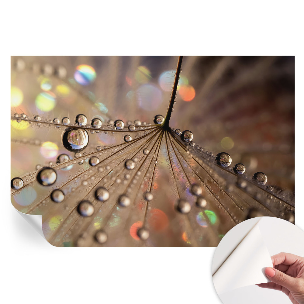 Papier peint photo moderne pour le salon Gouttes de perle