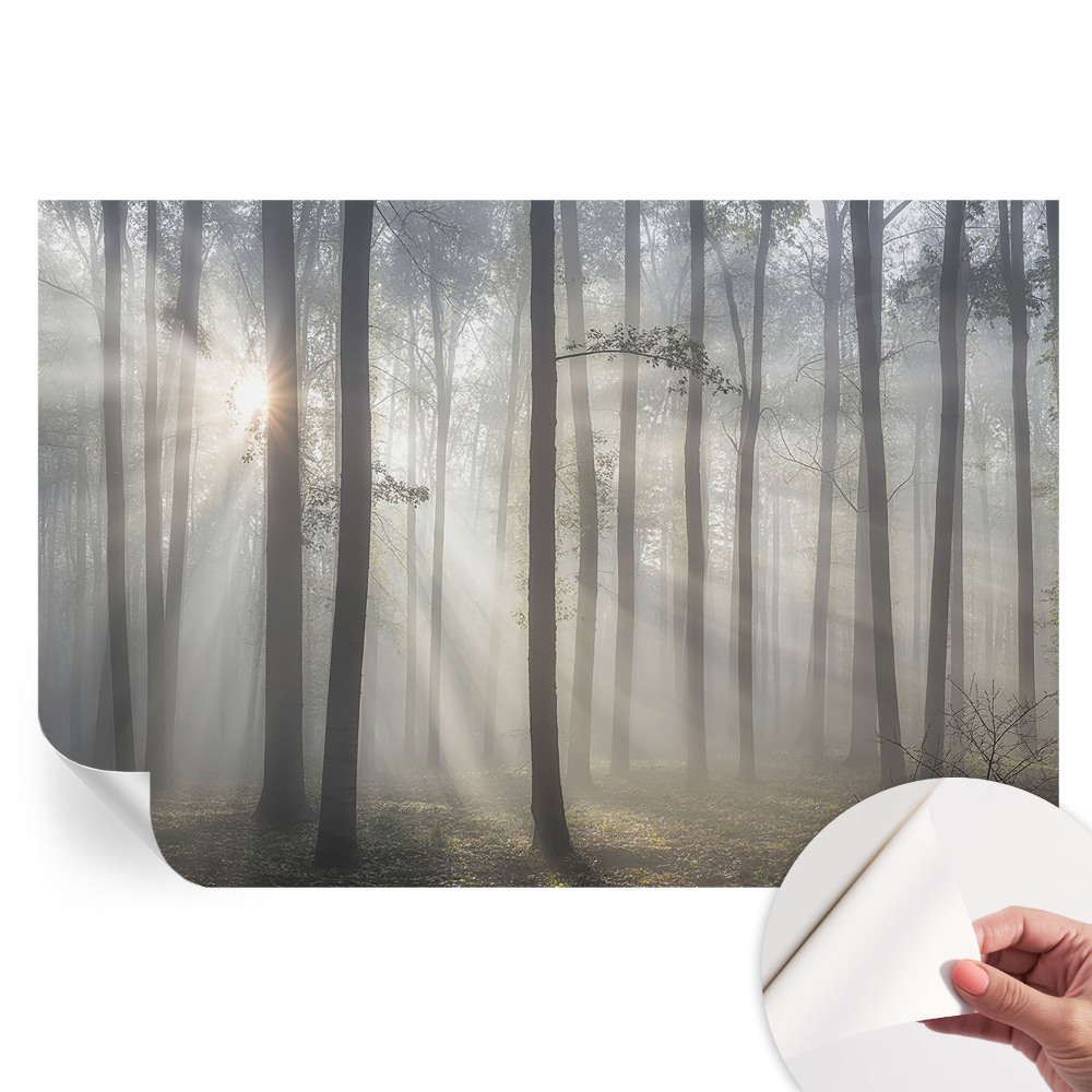 Papier peint autocollant pour le salon Forêt éthérée