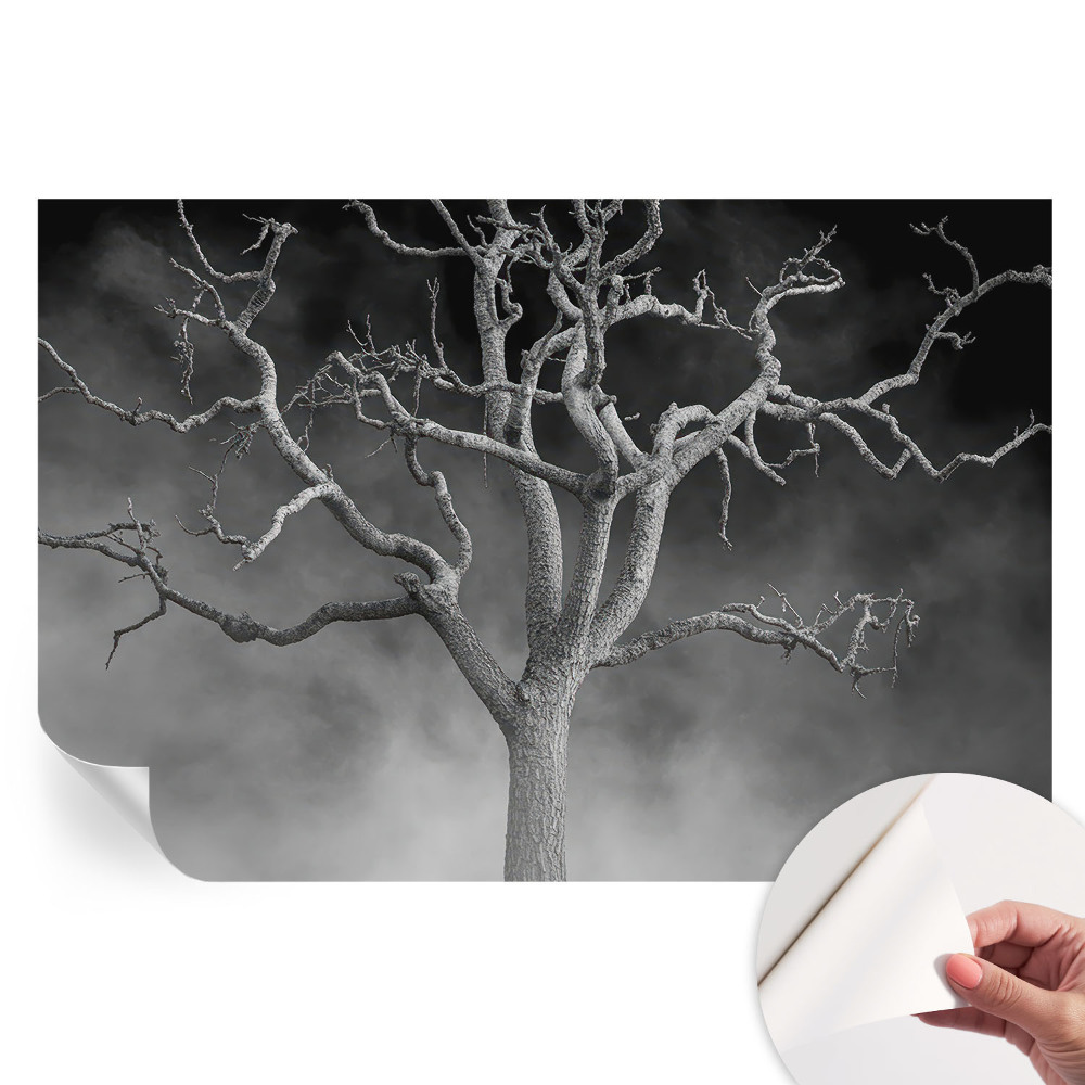 Papier peint photo moderne pour salon motif arbre brumeux