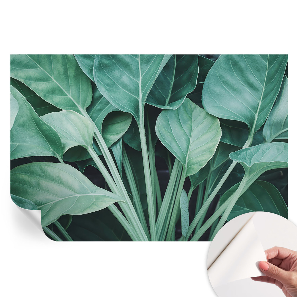 Papier peint photo moderne nature verte pour salon