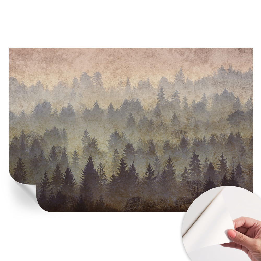 Papier peint autocollant pour le salon brouillard forestier