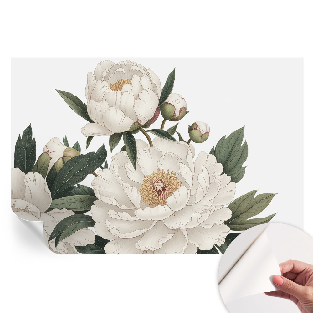 Fresque murale autocollante pivoines blanches