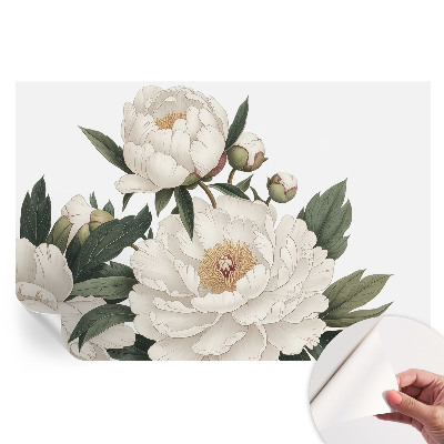 Fresque murale autocollante pivoines blanches
