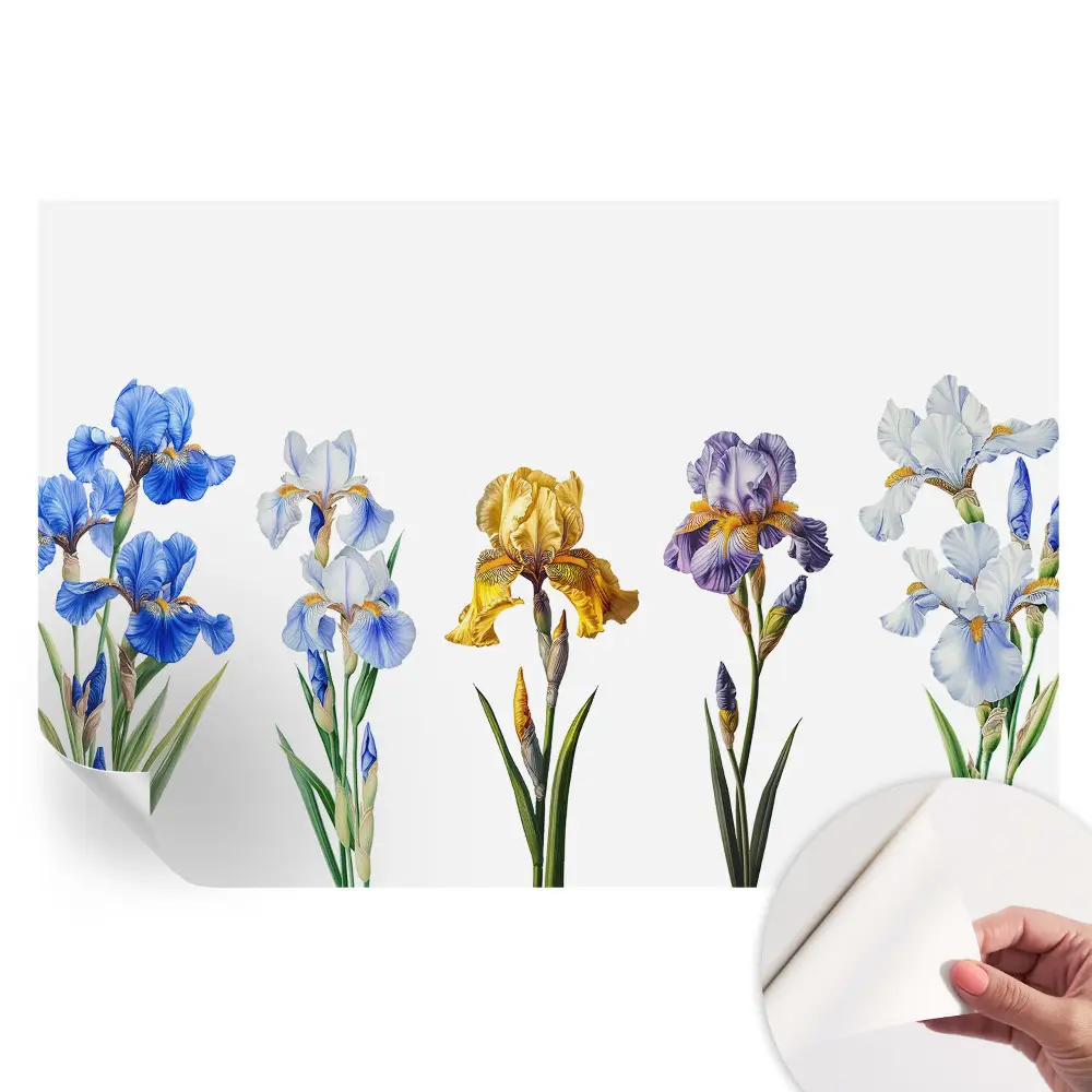 Papier peint photo autocollant motifs fleurs d'iris