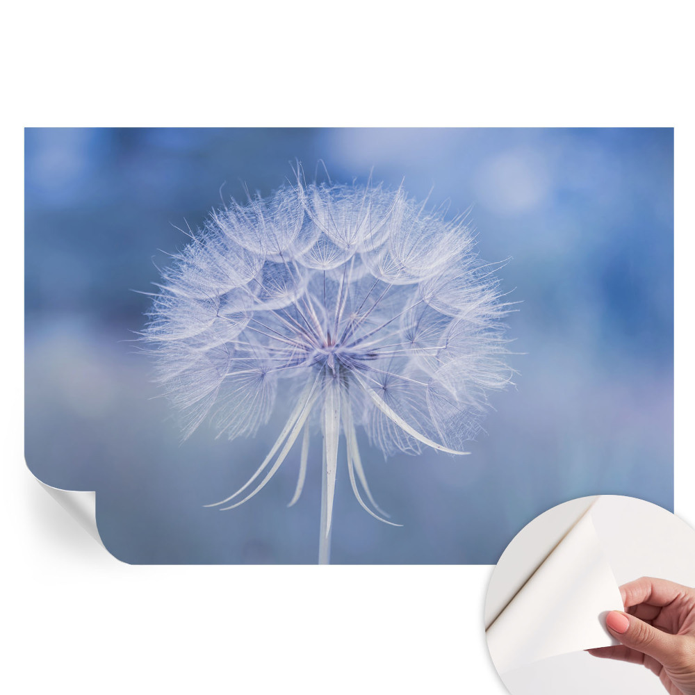 Papier peint photographique autocollant Délice bleu