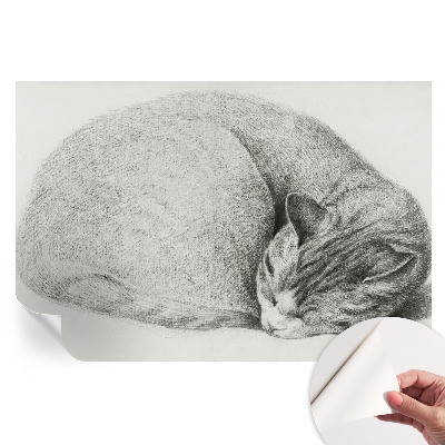 Papier peint photo autocollant Chat enroulé