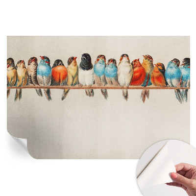 Papier peint photo autocollant pour chambre Oiseaux sur une branche