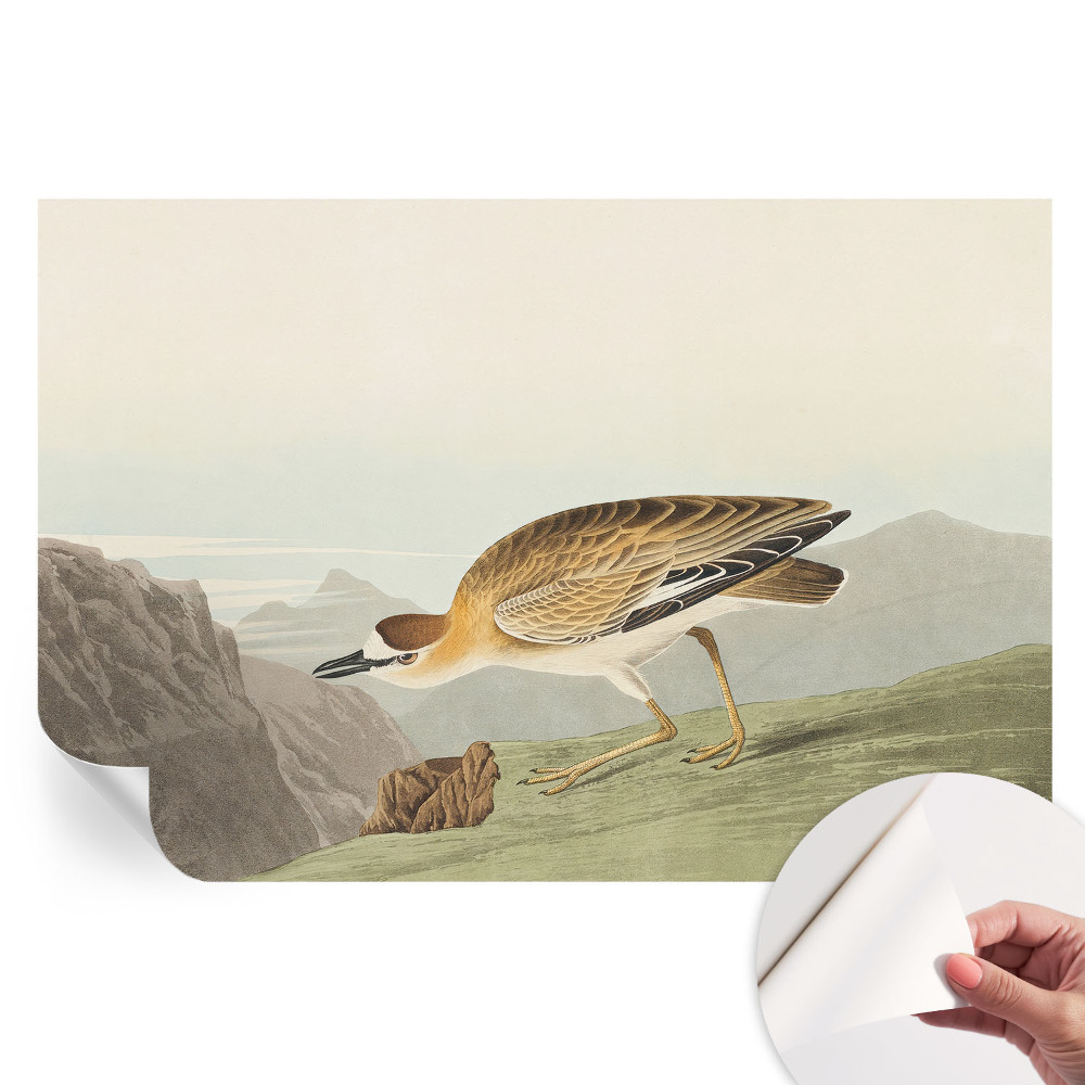 Papier peint photo moderne motif oiseaux et montagnes pour salon
