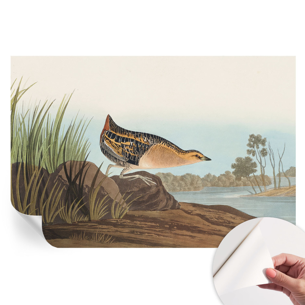 Papier peint autocollant pour salon motif scène naturelle