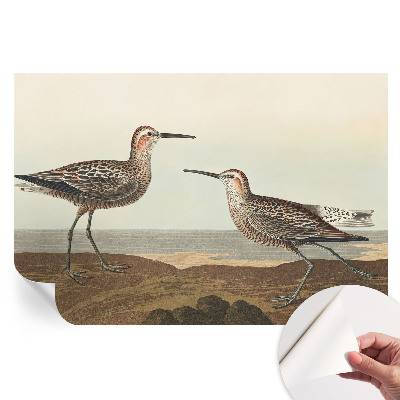 Papier peint photo autocollant avec silhouettes d'oiseaux