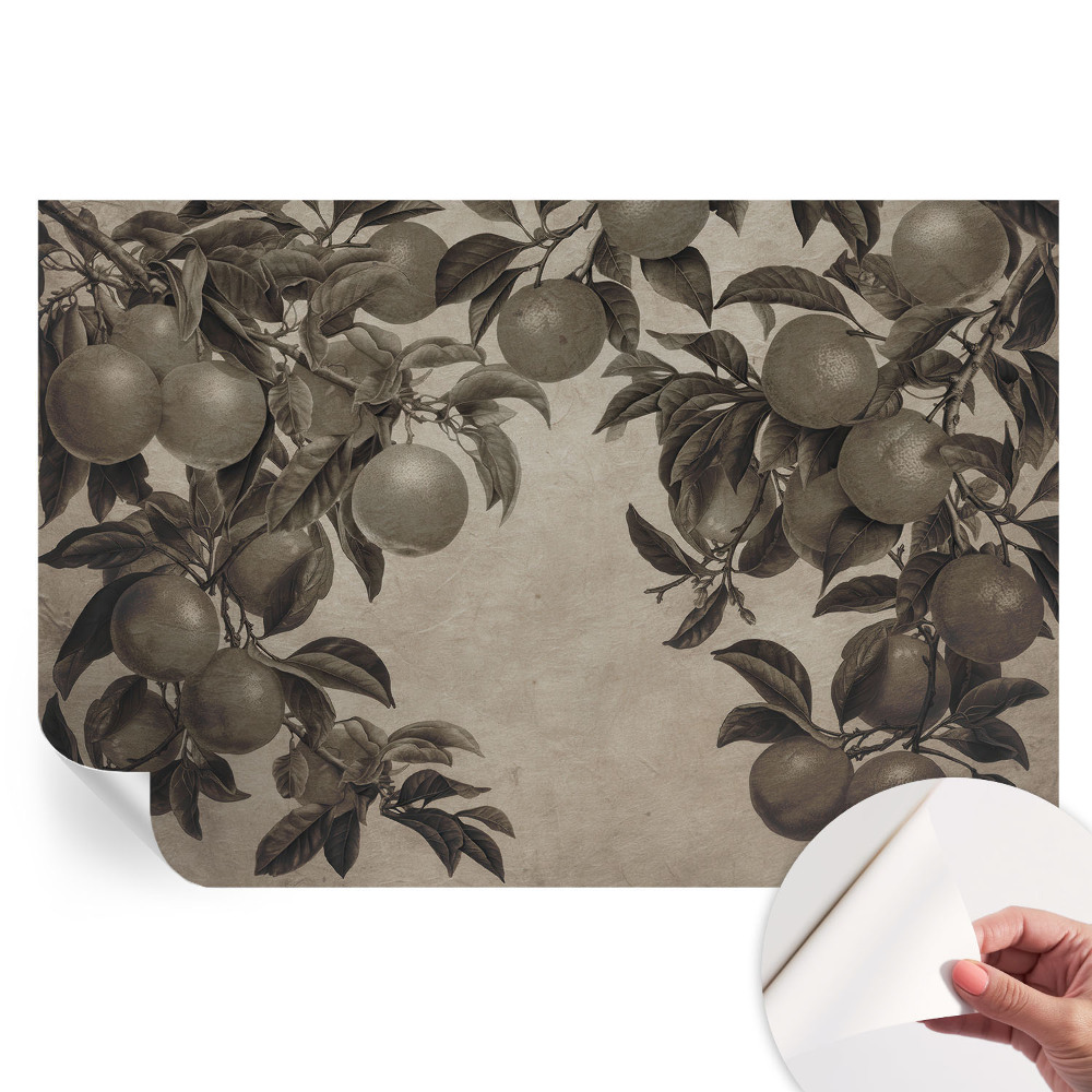 Papier peint autocollant pour le salon Modèle de fruit