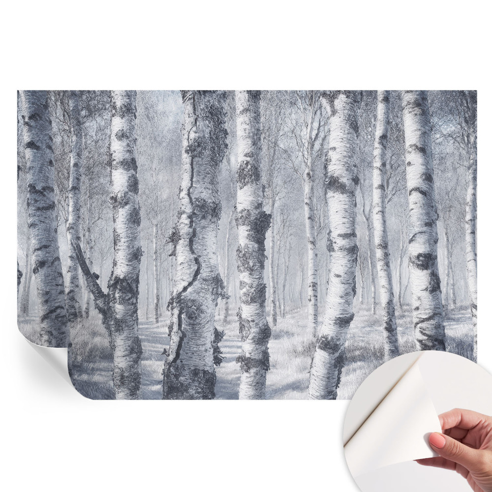 Papier peint photo autocollant pour la chambre Nature glaciale
