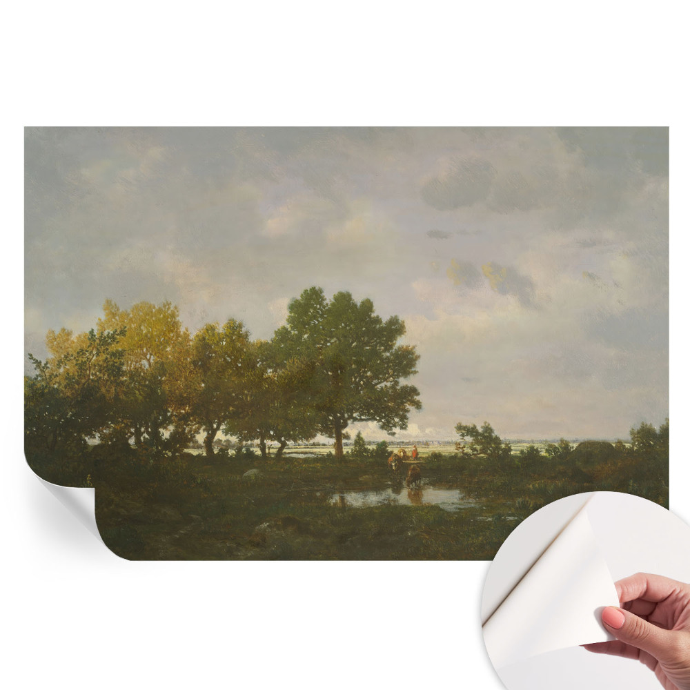 Papier peint photographique autocollant paysage forestier