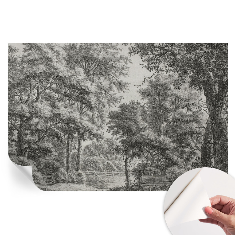 Papier peint photographique autocollant paysage forestier
