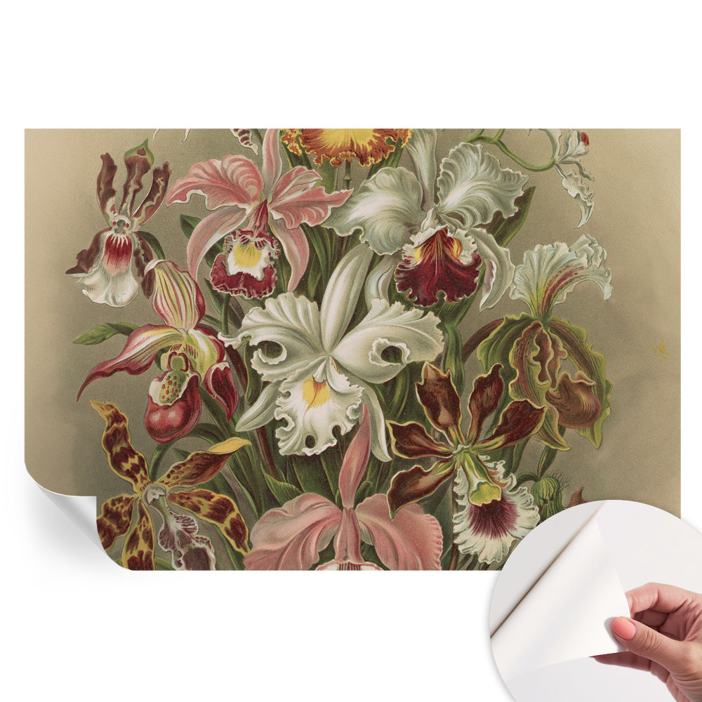 Papier peint photo autocollant élégance florale