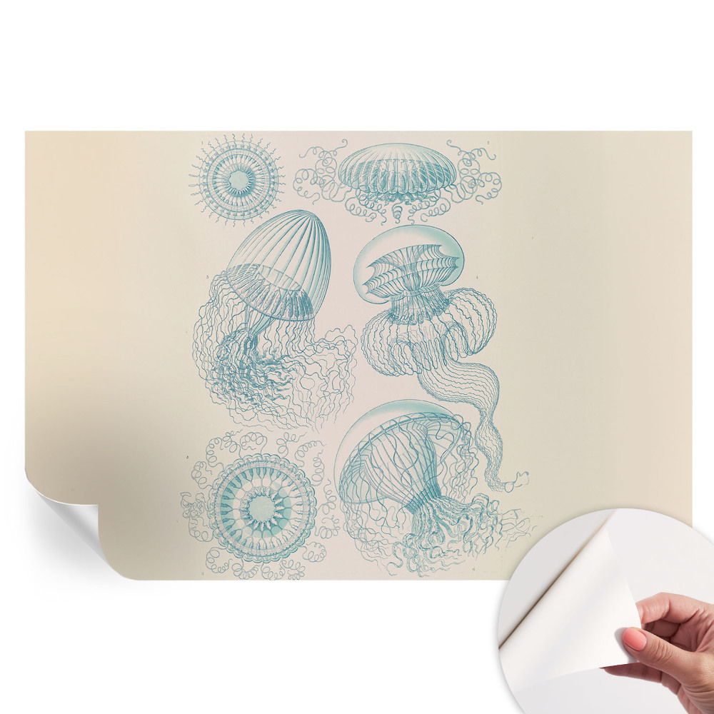 Papier peint photo autocollant méduses pour chambre