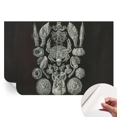Fresque murale autocollante motifs sous-marins