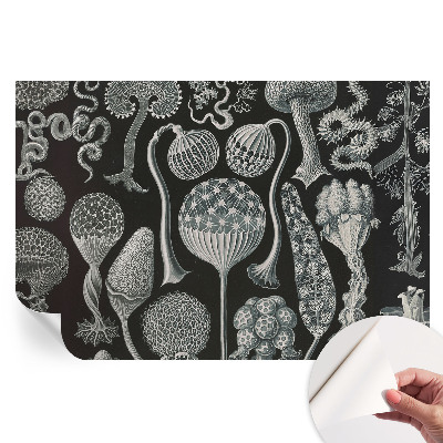 Papier peint photo autocollant Plantes magiques