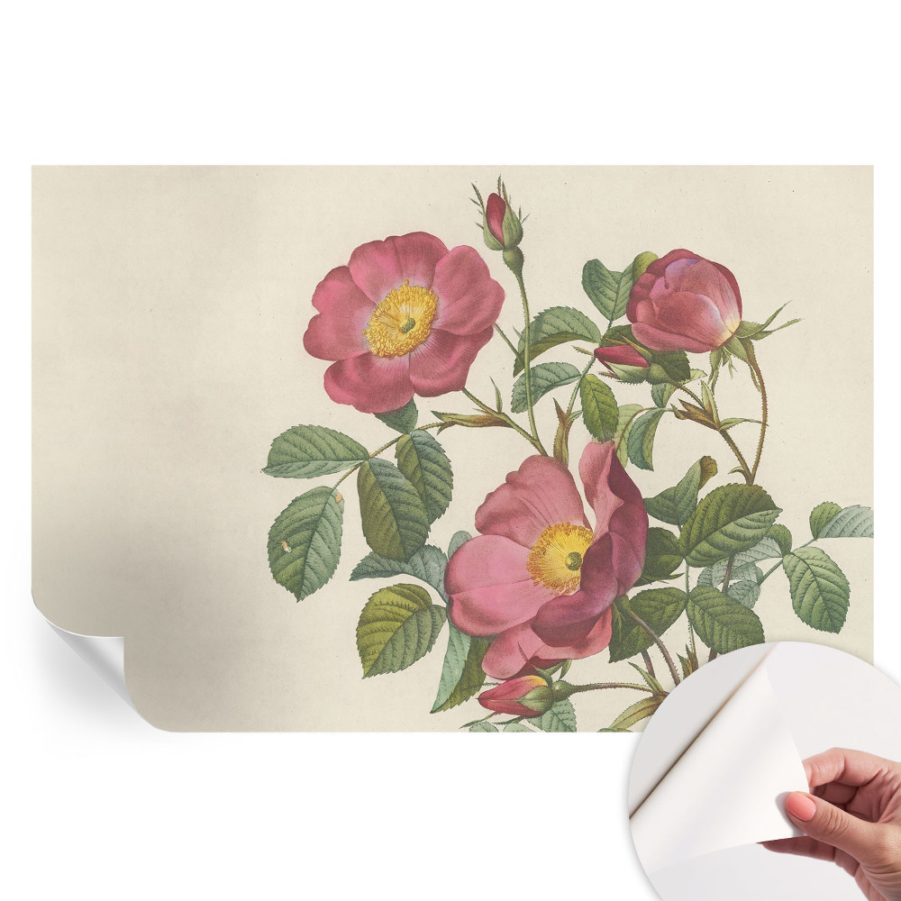 Papier peint photo autocollant motif rose pour chambre