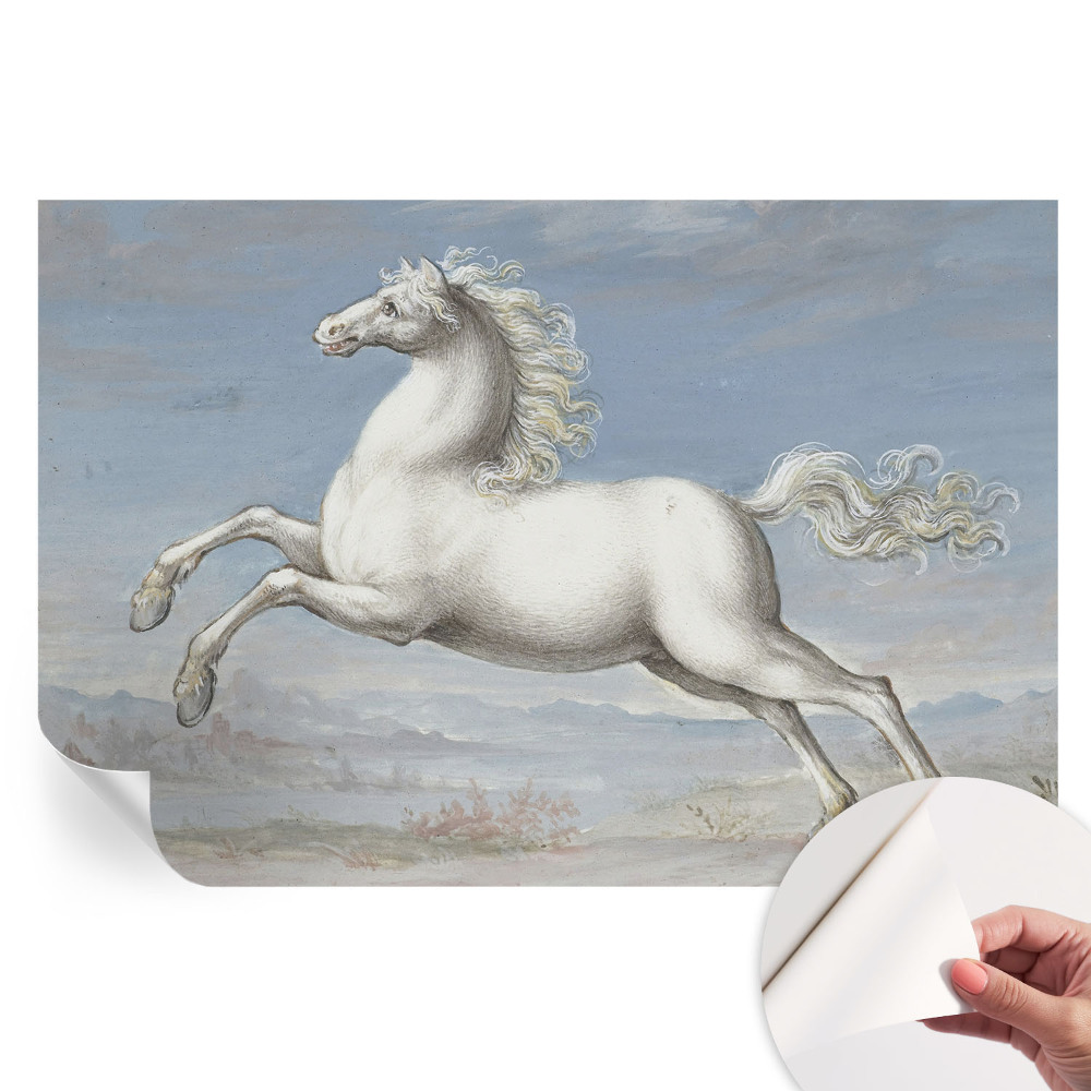 Papier peint photo autocollant Chevaux au saut