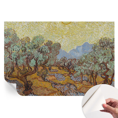 Papier peint photographique autocollant oliviers