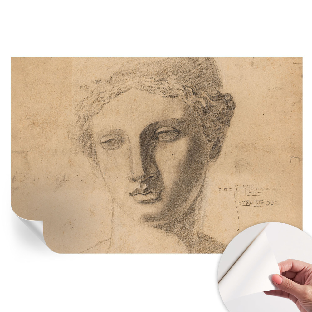 Papier peint photo autocollant pour la chambre Portrait de femme