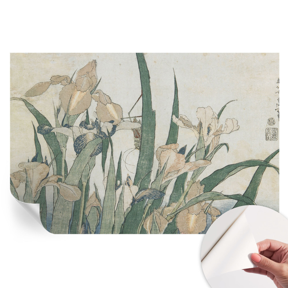 Papier peint autocollant pour le salon Iris délicats