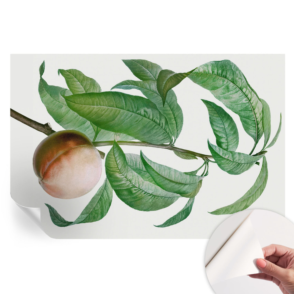 Papier peint autocollant pour salon motif pêche mûre