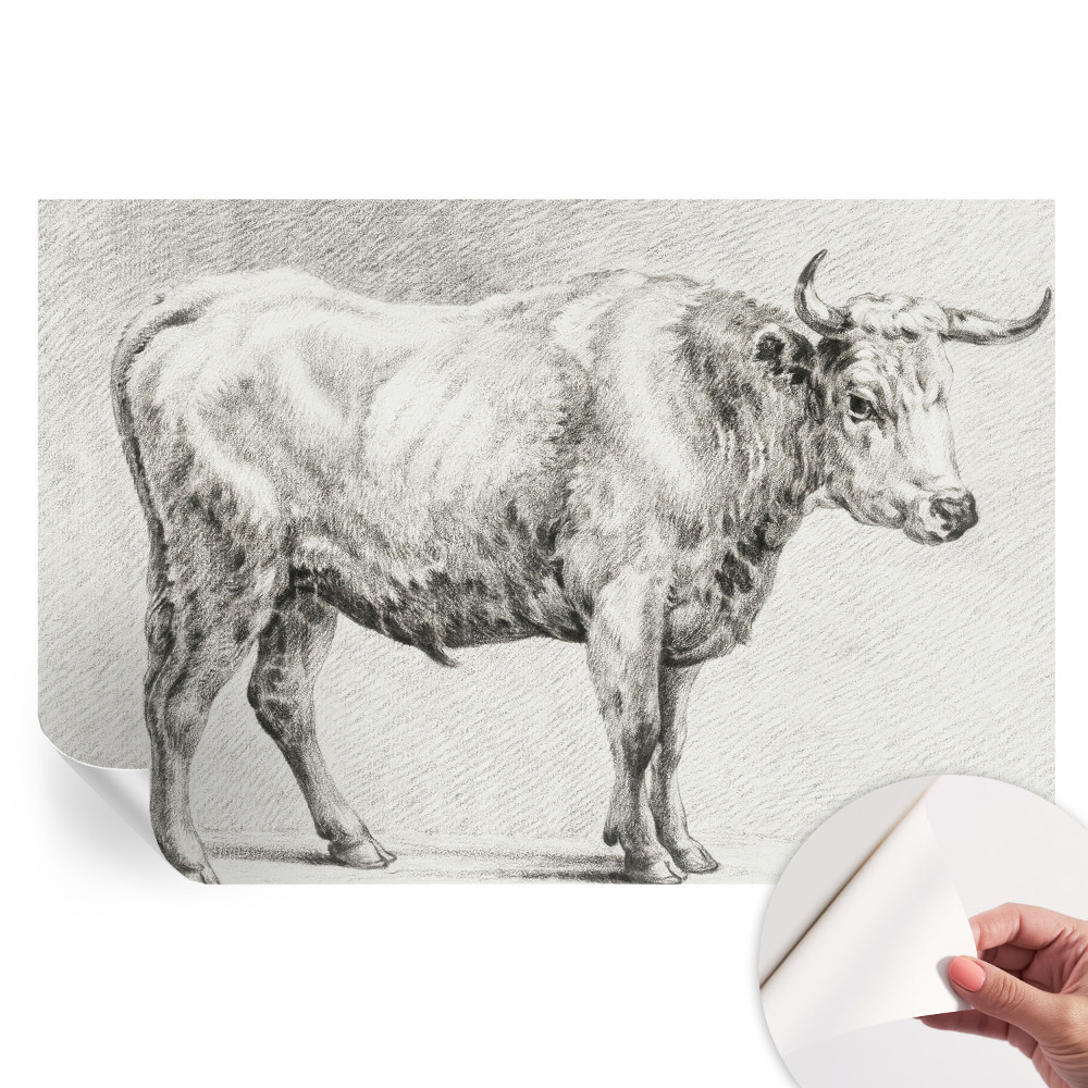 Papier peint photo moderne Crayon Bull pour le salon