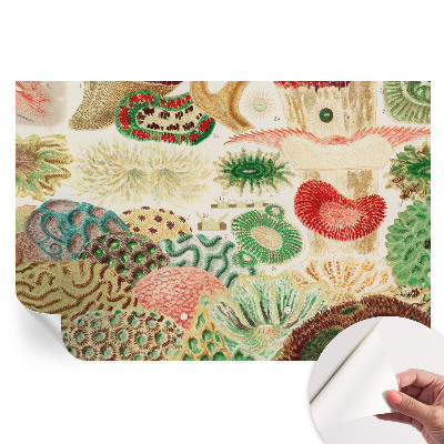 Papier peint photo autocollant pour la chambre formes organiques
