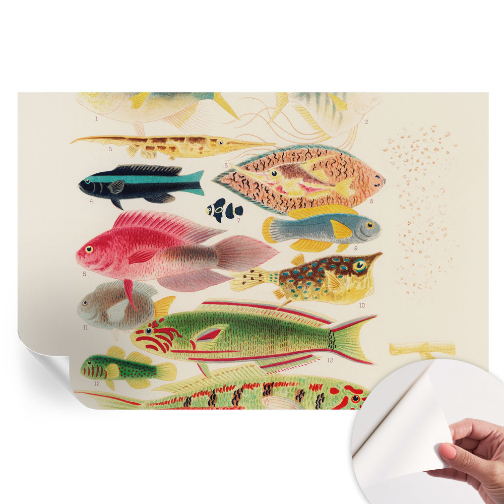 Papier peint photo moderne motifs poissons colorés pour le salon