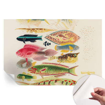 Papier peint photo moderne motifs poissons colorés pour le salon
