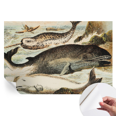 Papier peint photo autocollant Géants des mers pour chambre