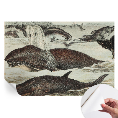 Papier peint photo moderne pour salon motif créatures marines