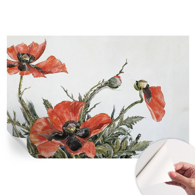Papier peint photo autocollant Coquelicots rouges