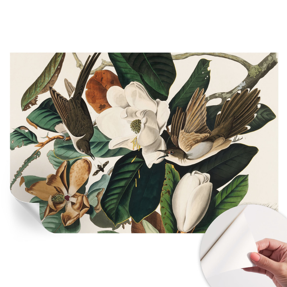 Papier peint autocollant pour salon motif oiseaux et magnolias
