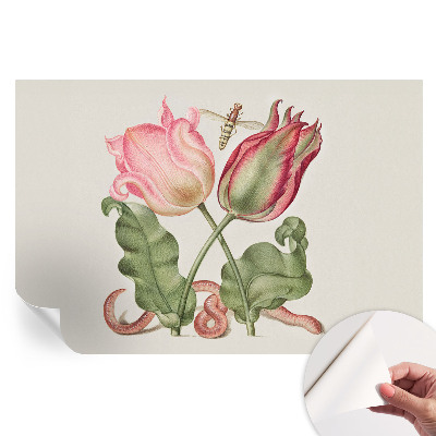 Papier peint photo autocollant Beauté des tulipes