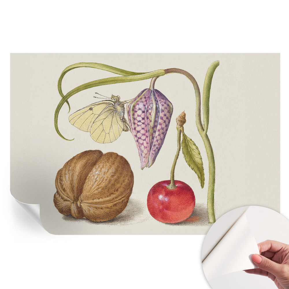 Papier peint autocollant pour salon motif plantes et papillons