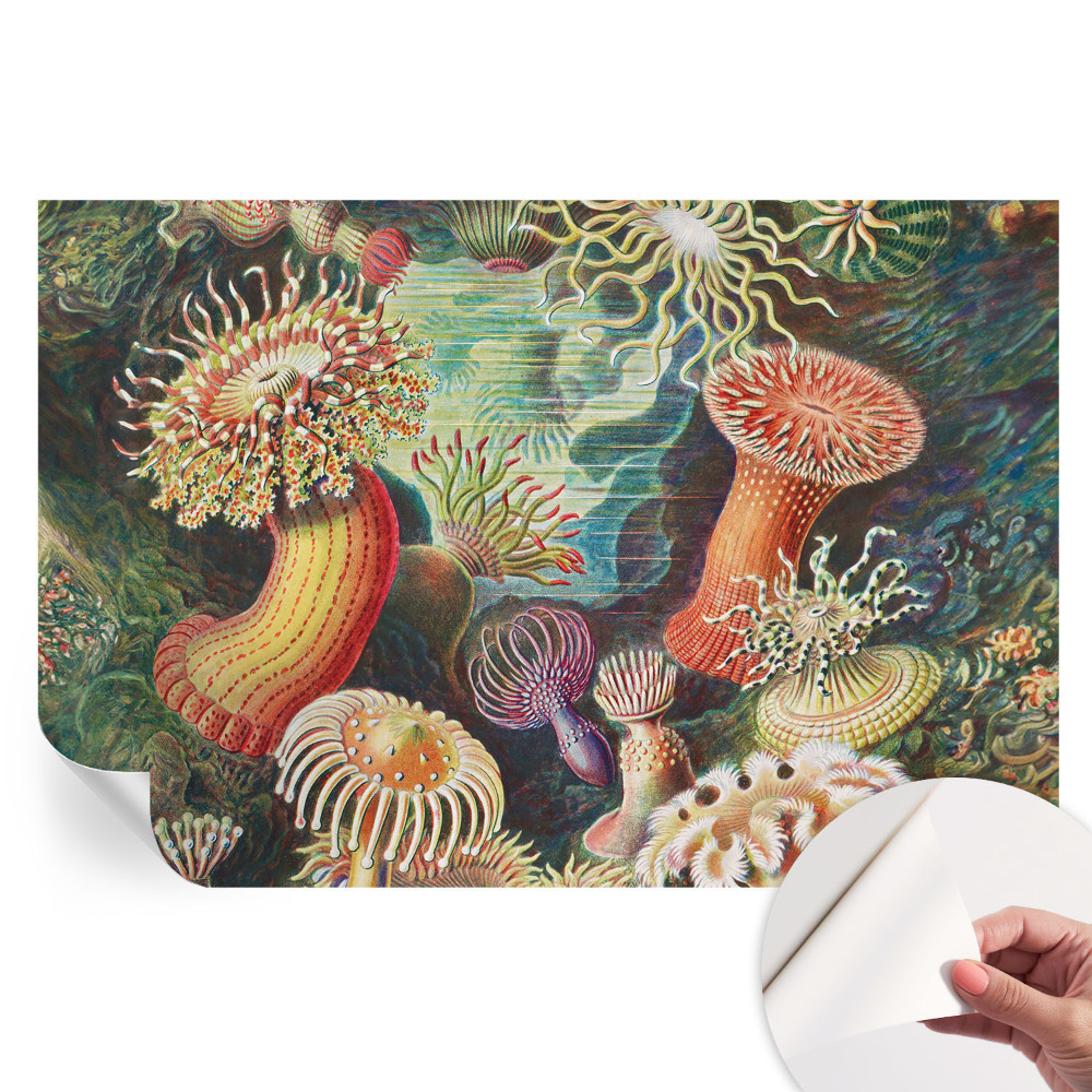 Papier peint autocollant anémones fantaisie pour salon