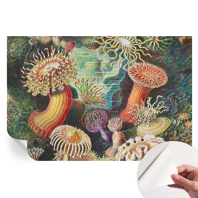 Papier peint autocollant anémones fantaisie pour salon