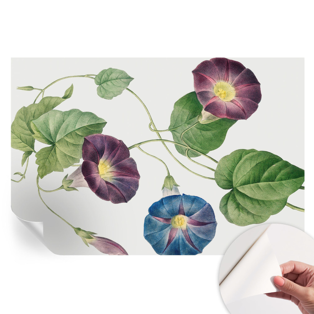Papier peint photo autocollant pour la chambre Élégance florale
