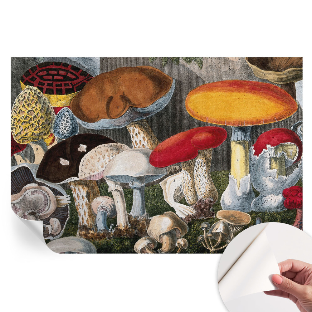 Papier peint photo moderne motif champignons botaniques pour salon